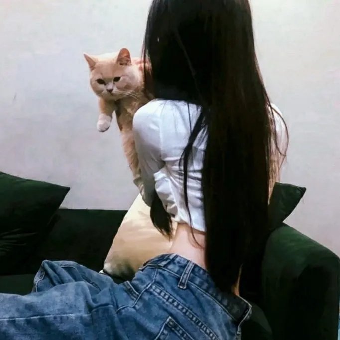 智能爱人粤语